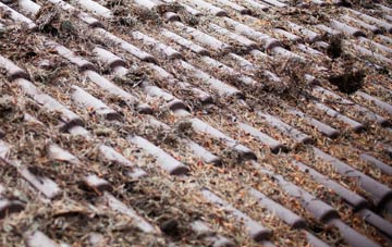 Hardeicke roof cleaning companies